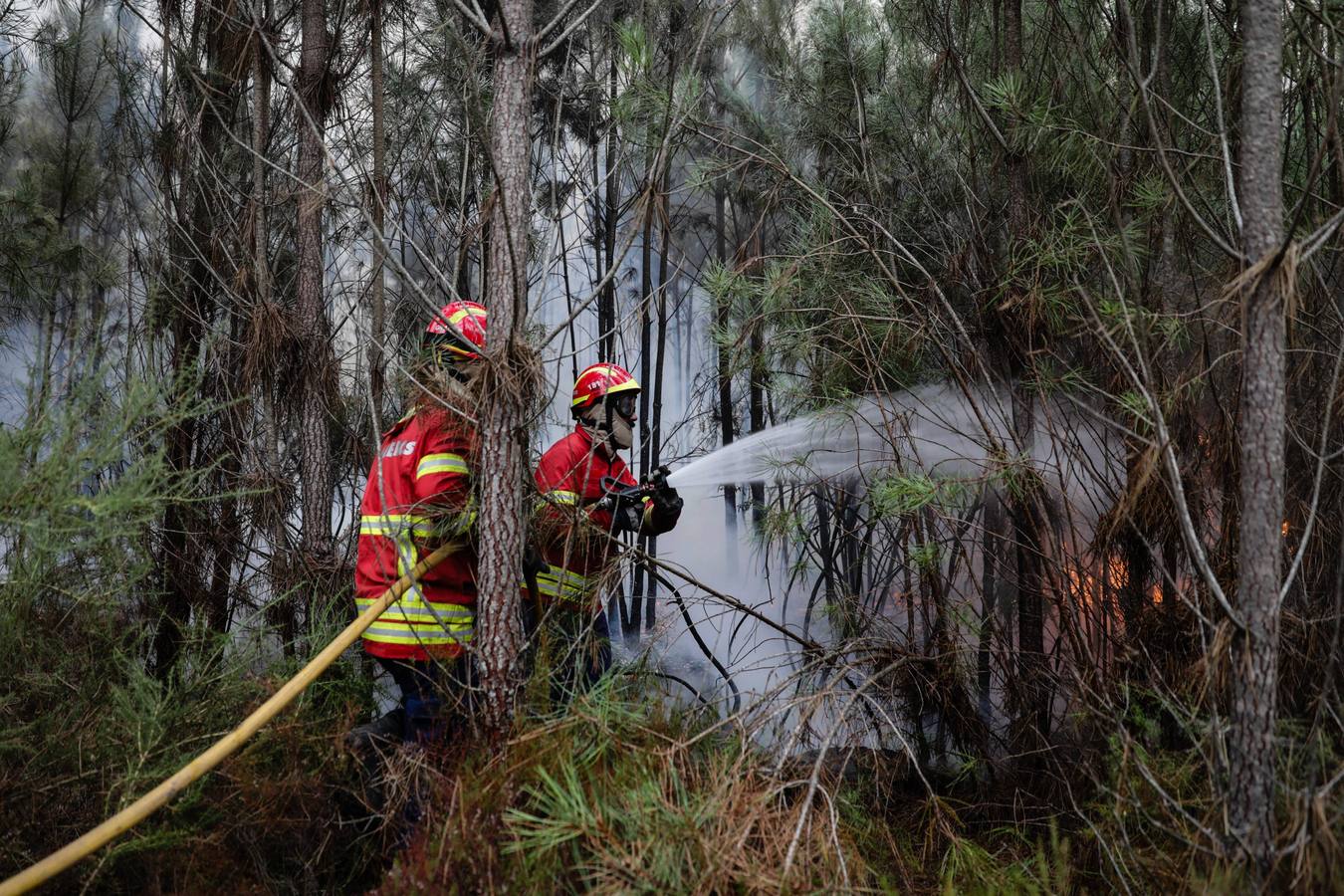 Efectivos de bomberos intentan sofocar las llamas en un incendio forestal declarado en Gaeiras, Marinha Grande, centro de Portugal 