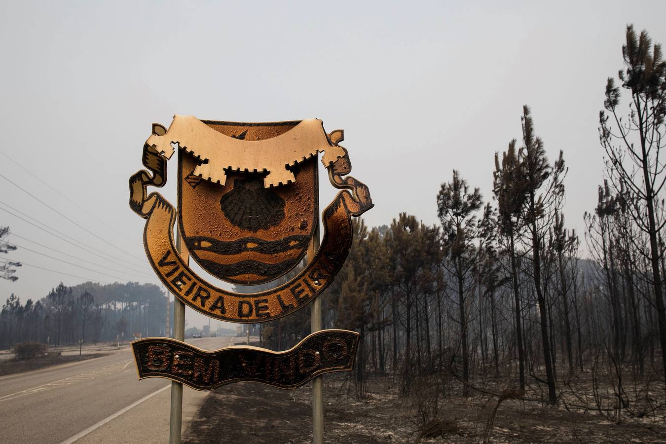 Vista de los daños en el paisaje tras un incendio forestal en un camping en Marinha Grande, en el centro de Portugal, 