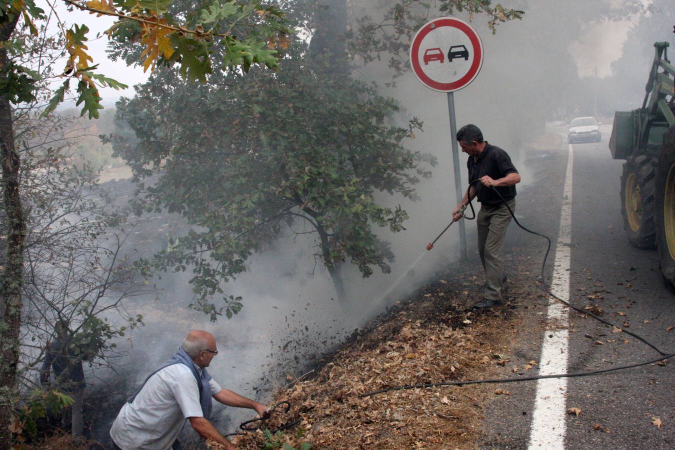 El centro y el norte Portugal sufren desde el domingo una serie de incendios que ya han causado 35 muertos y al menos 6.500 hectáreas son pasto del fuego