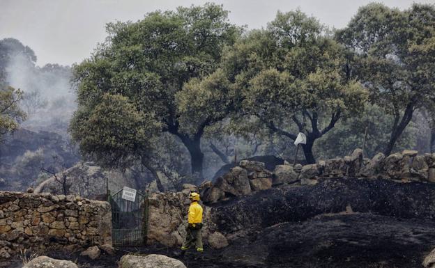 Imagen de archivo de un fuego en una dehesa de Aldea del Cano:: HOY 