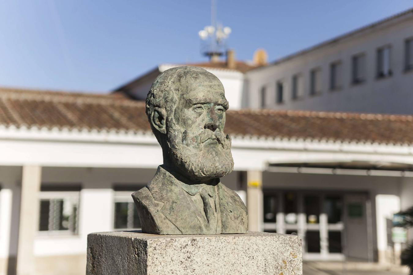 Don Fernando era un millonario huraño, al que no le gustaba mucho el trato social. Sus padres intentaron casarle con la hija de un banquero de Salamanca, pero no cuajo y se quedó soltero. Vivía con sus padres y su hermano Francisco en el palacete de la Plaza Mayor.