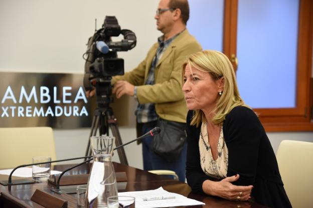 Elena Nevado durante su comparecencia en la Comisión de Sanidad de la Asamblea. :: hoy