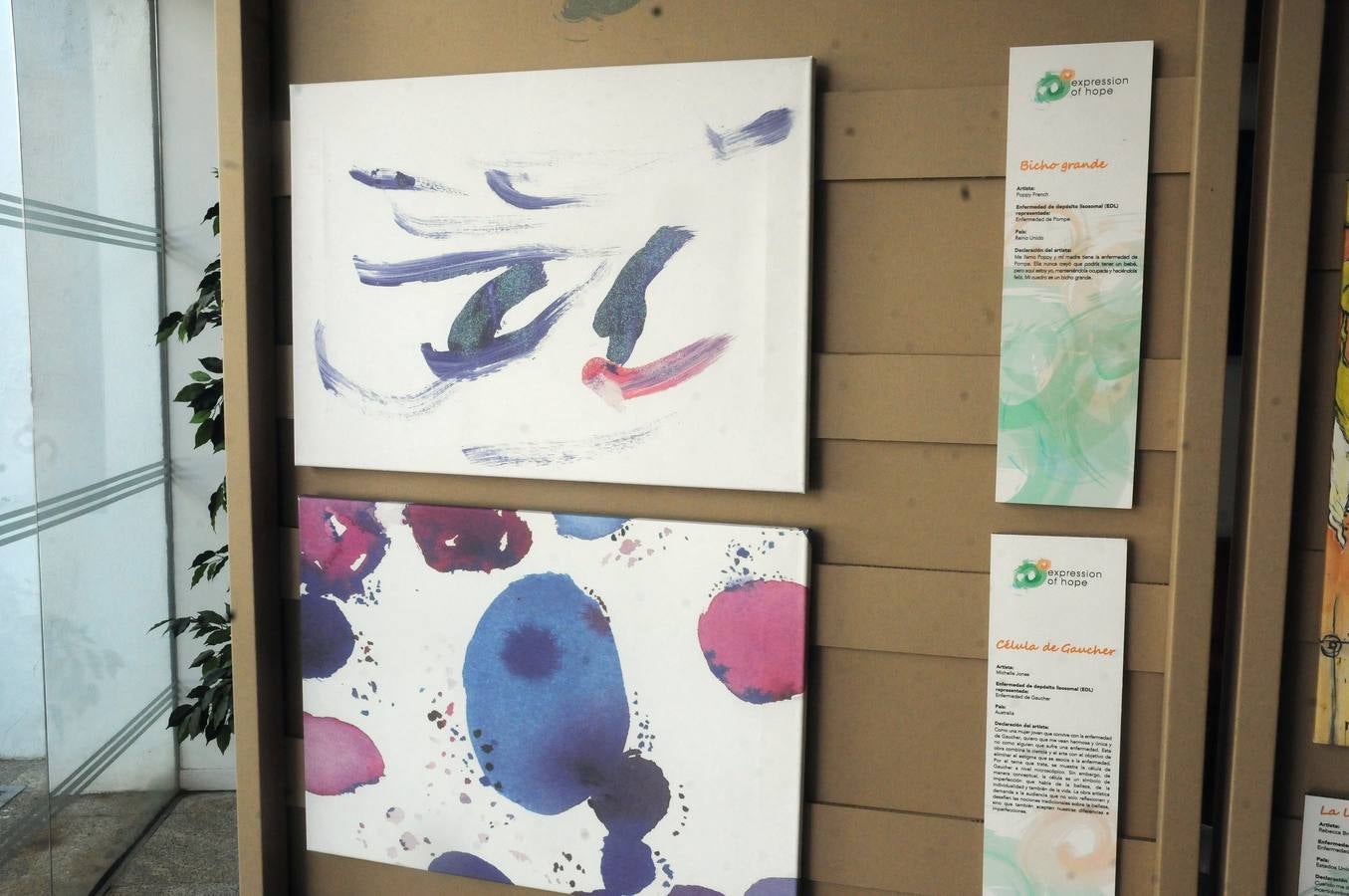 Las obras de la exposición "Expression of hope"(expresión de esperanza) han sido creadas por pacientes de enfermedades raras con el fin de conncienciar y sensibilizar a la sociedad de estas patologias. Las obras se presentan en cuadros, pinturas y dibujos en el salón de Pasos Perdidos de la Asamblea de Extremadura.