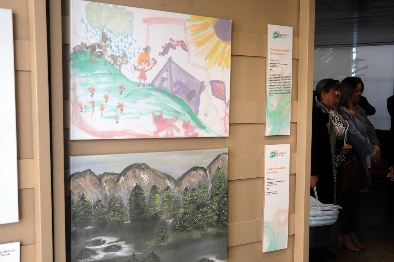 Las obras de la exposición "Expression of hope"(expresión de esperanza) han sido creadas por pacientes de enfermedades raras con el fin de conncienciar y sensibilizar a la sociedad de estas patologias. Las obras se presentan en cuadros, pinturas y dibujos en el salón de Pasos Perdidos de la Asamblea de Extremadura.