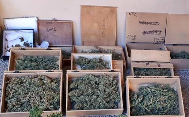 Detenido un vecino de Badajoz que utilizaba su casa como punto de cultivo de marihuana
