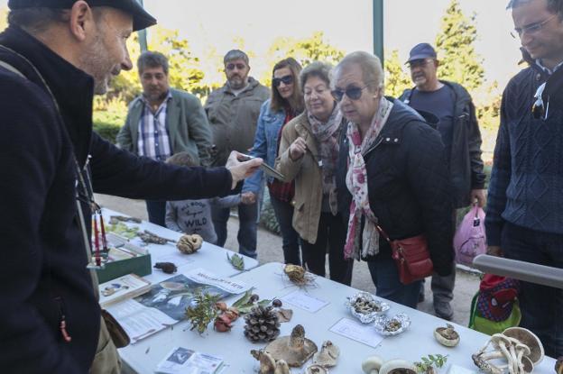 Muestra de las setas recolectadas ayer en el parque. :: jorge rey