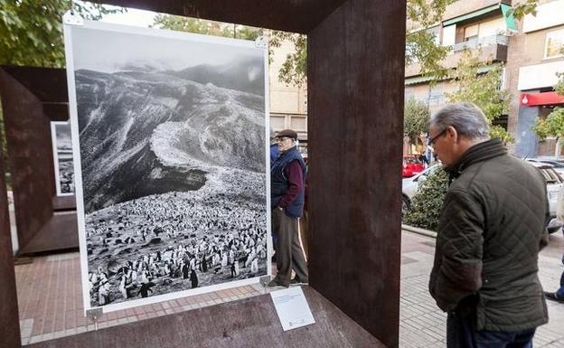 Exposición 'Génesis' de Sebastiao Salgado en Cánovas