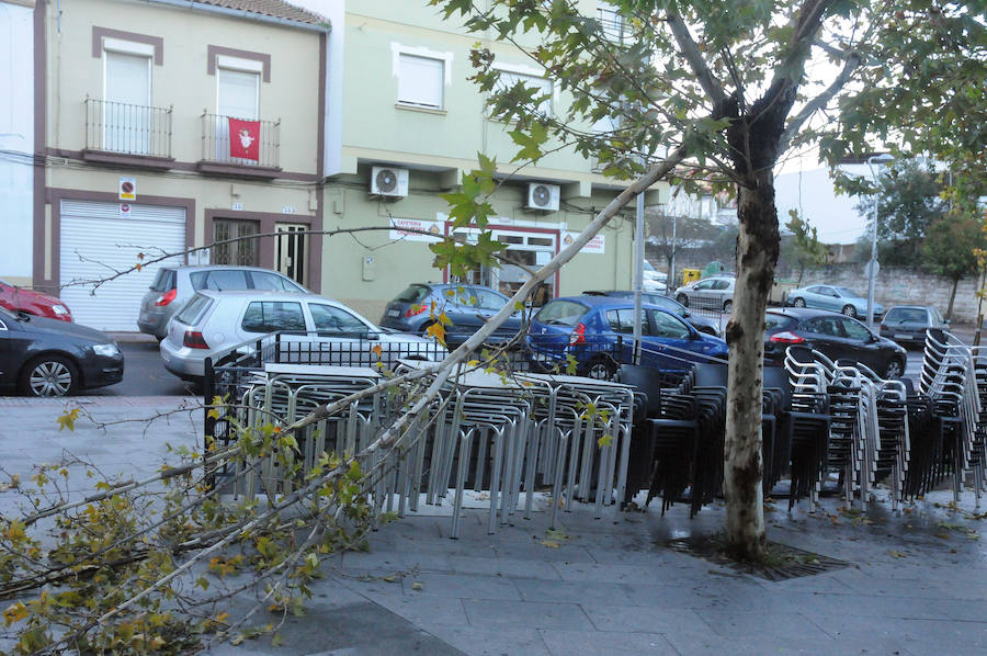 Mérida registró vientos fuertes que provocaron caídas de ramas,alguna palmera y cortes de luz en el centro de la ciudad