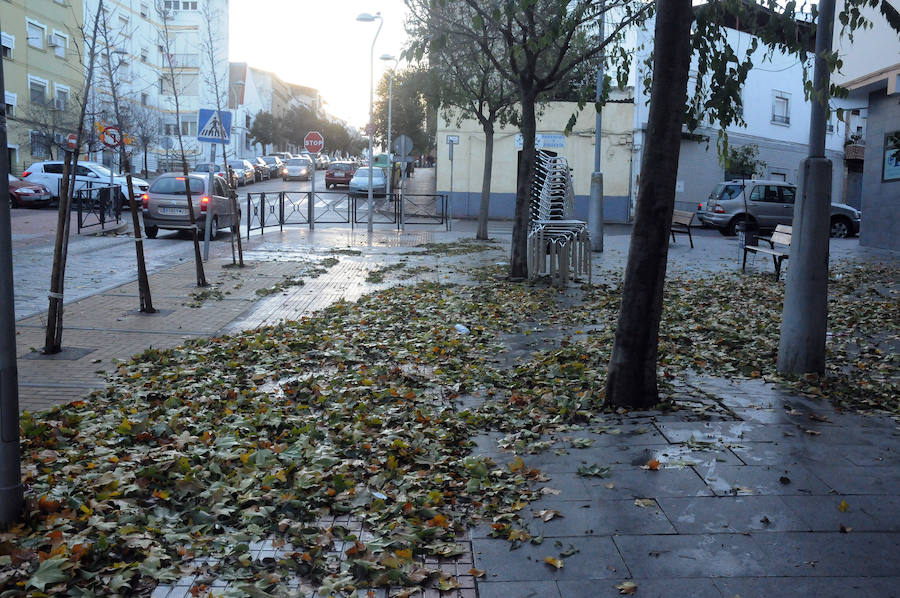 Mérida registró vientos fuertes que provocaron caídas de ramas,alguna palmera y cortes de luz en el centro de la ciudad