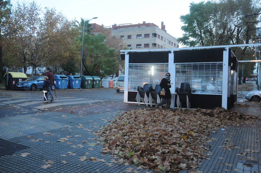 Mérida registró vientos fuertes que provocaron caídas de ramas,alguna palmera y cortes de luz en el centro de la ciudad