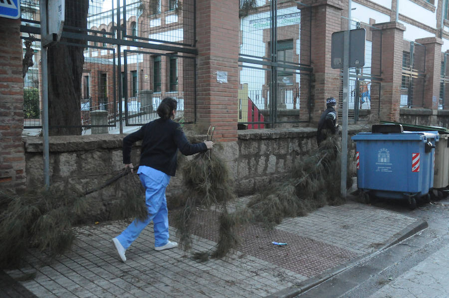 Mérida registró vientos fuertes que provocaron caídas de ramas,alguna palmera y cortes de luz en el centro de la ciudad