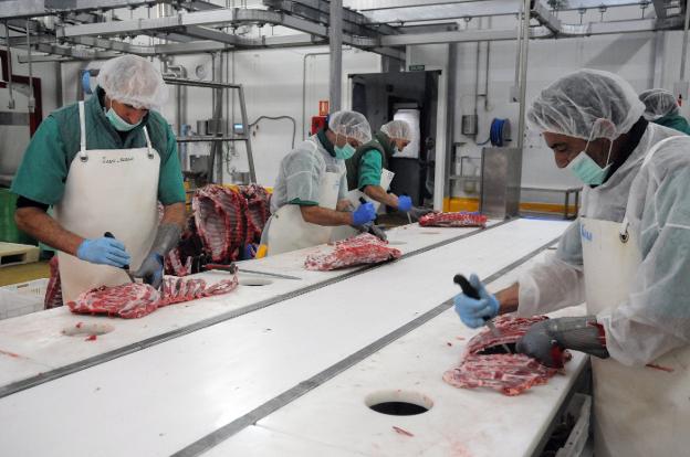 Trabajadores del matadero de Señorío de Montanera en Salvaleón (comarca Sierra Suroeste) con costillares de ibérico para ser envasados.