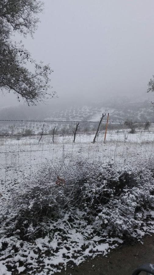 Nieve en las proximidades de Cabeza la Vaca