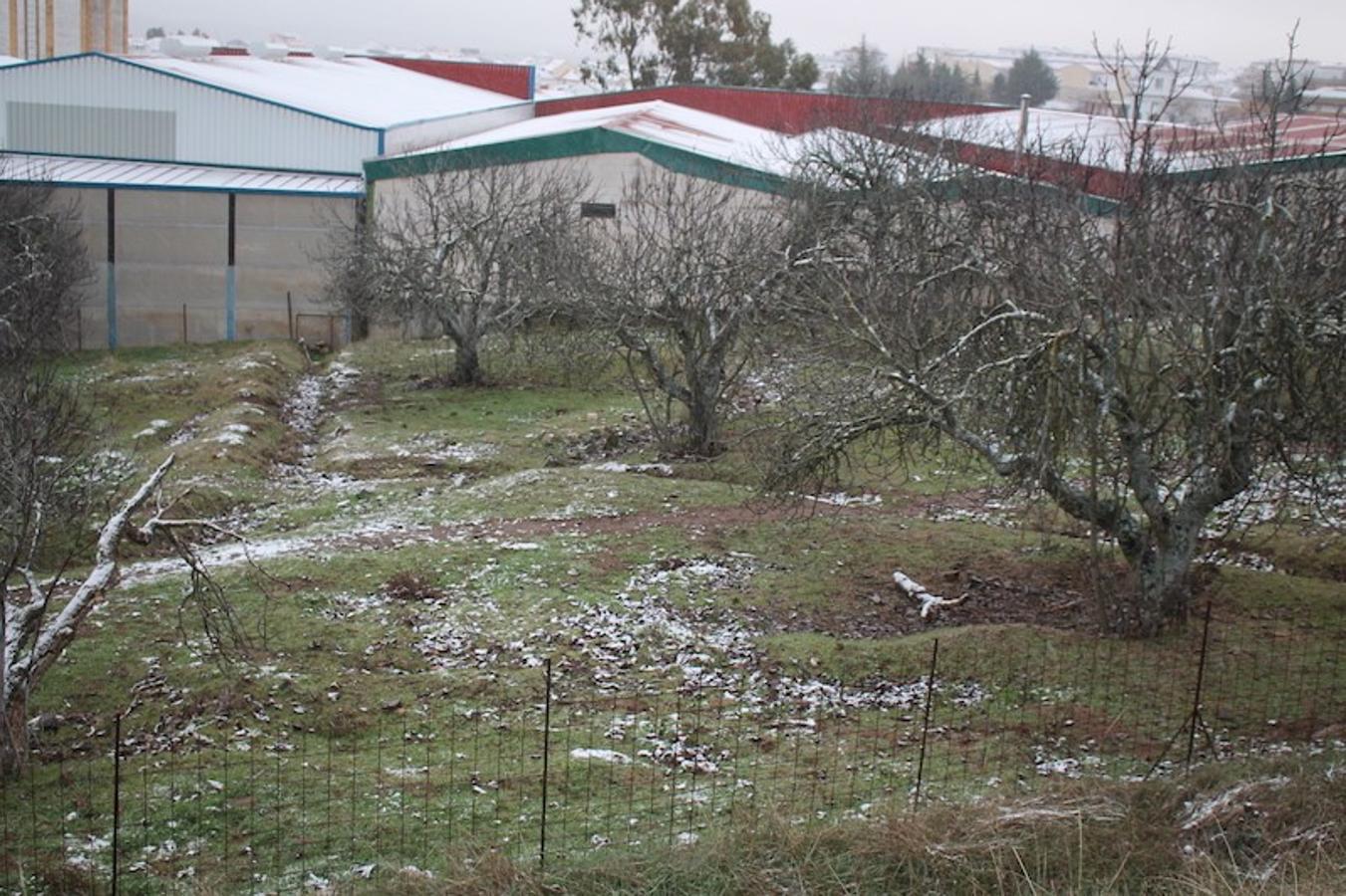 Nieve en Monesterio