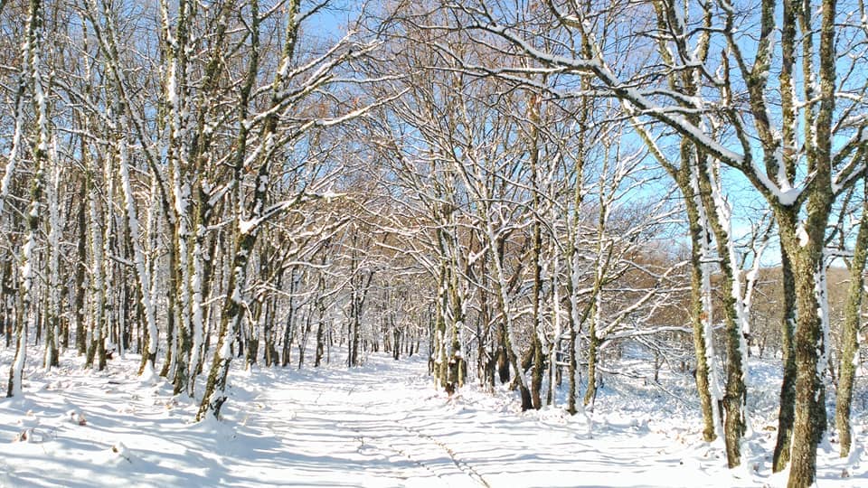 Nieve en Jaraíz de la Vera:: Joaquín Bote Santos