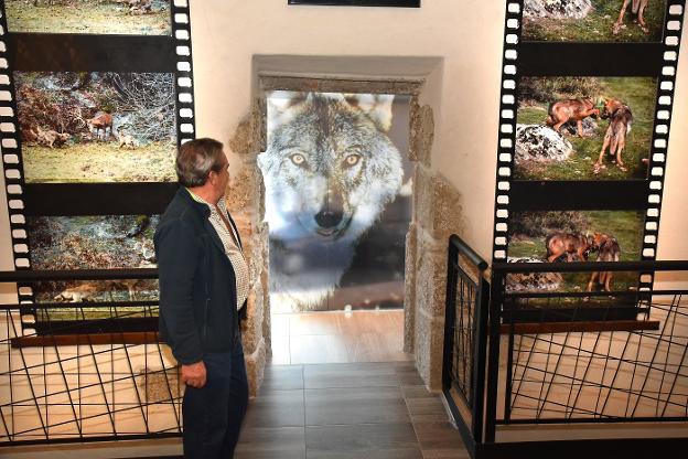 Una de las estancias del centro de recepción de visitantes El Lobo, nombre oficial del lugar. :: palma