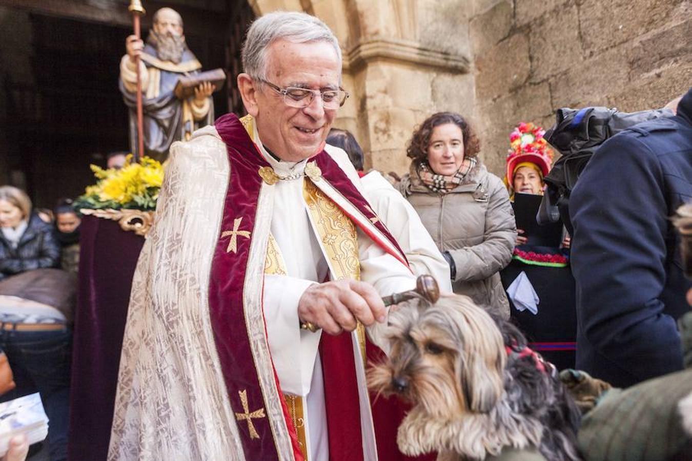 Las mascotas se dieron cita en la Plaza de San Juan para asistir a la bendición 