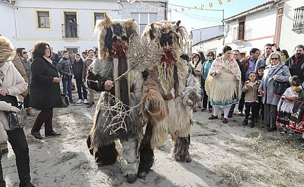 Fiesta de las Carantoñas, celebrada esta mañana en Acehúche. 