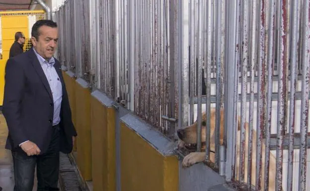 Imagen de archivo de una visita del concejal Antonio Ávila a la perrera municipal:: HOY