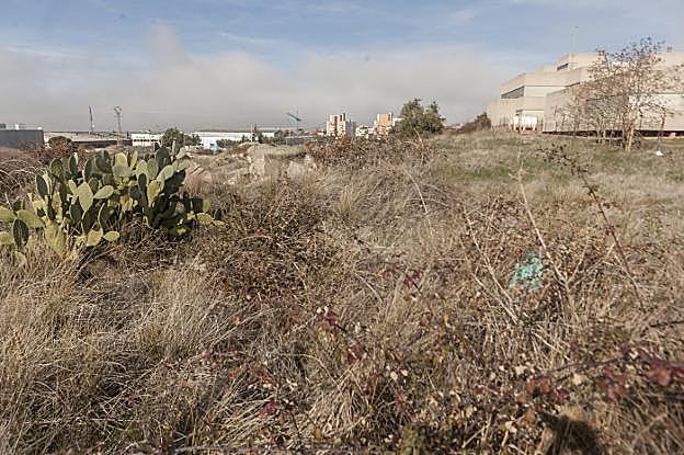Estado de la parcela municipal, de 6.500 metros cuadrados, en la calle Esquiladores. :: jorge rey