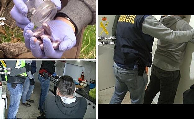 Ocho detenidos por tráfico de drogas, trata de seres humanos y blanqueo en Valencia de Alcántara