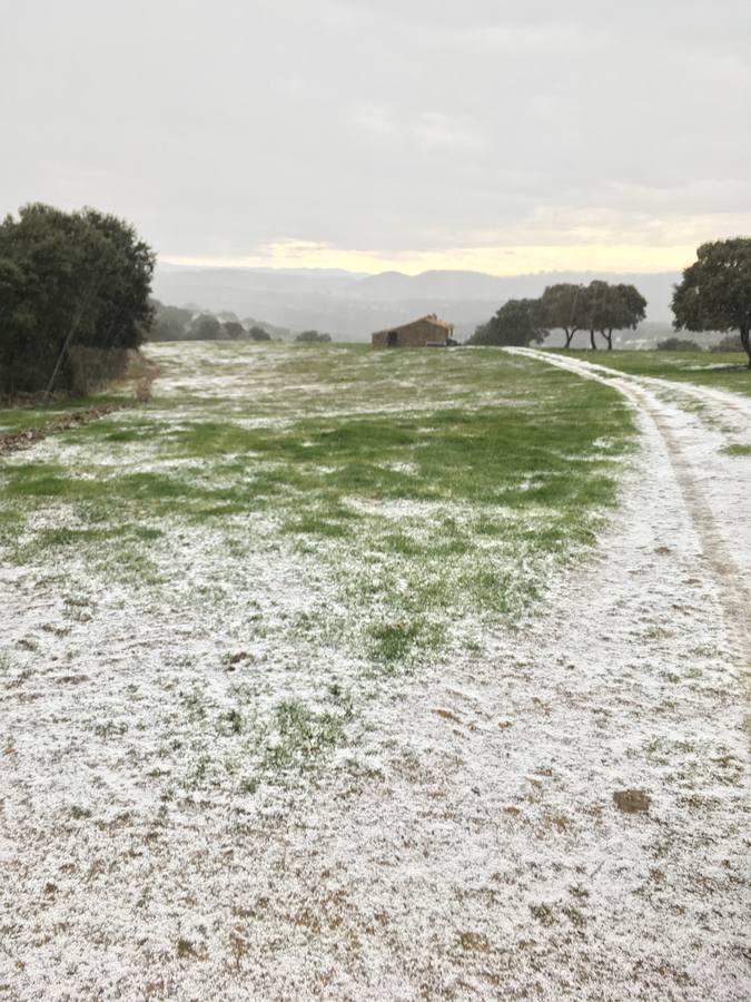 Los caminos y el campo se tiñen de blanco en Monesterio