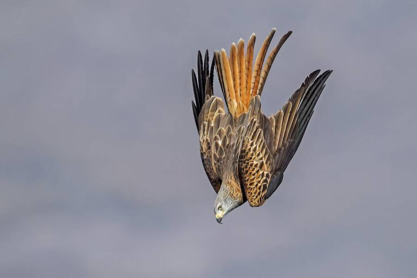 'Milano en picado' | Accésit Alpasin.