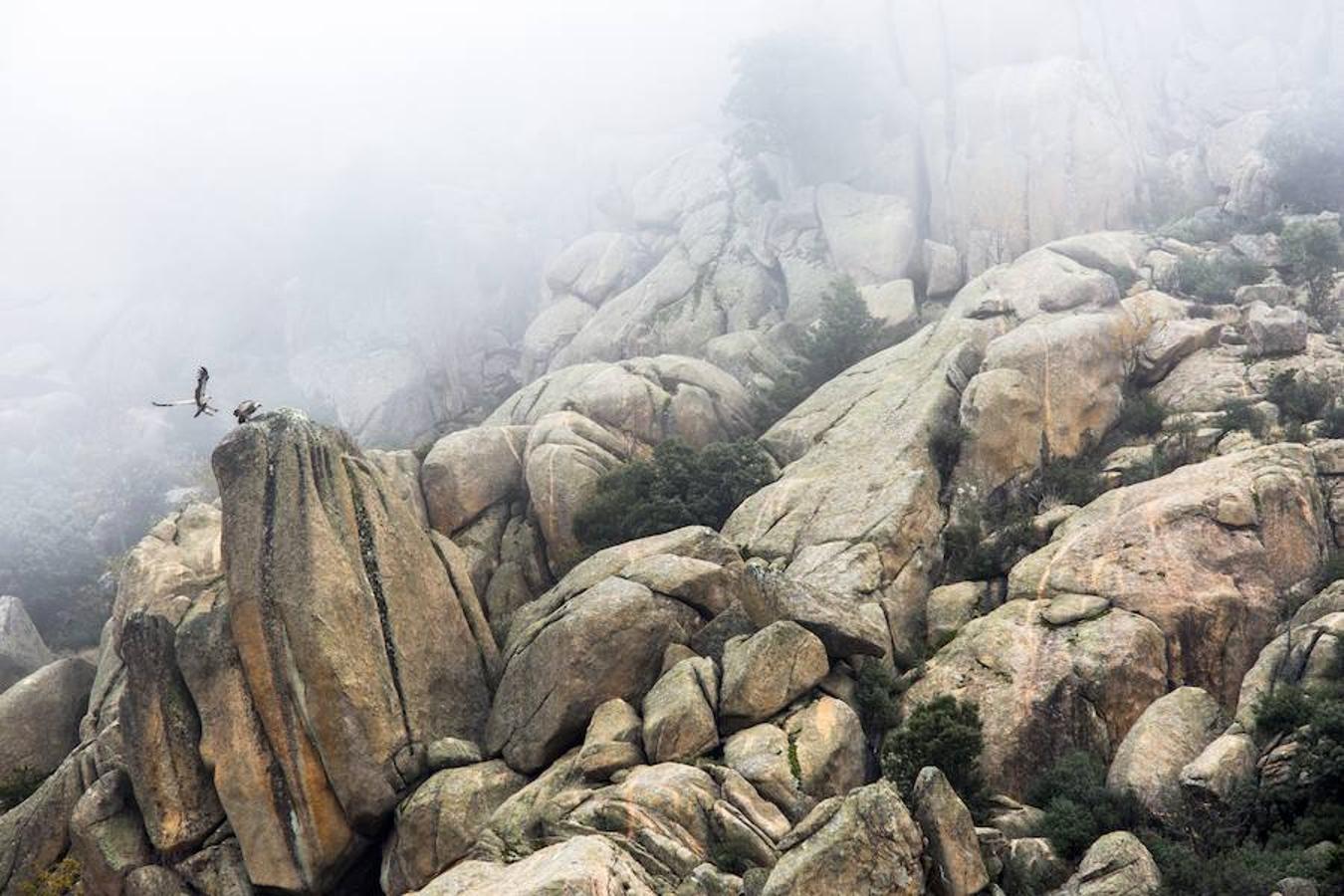 'Días de niebla' | Accésit Martín Iglesias S. L.