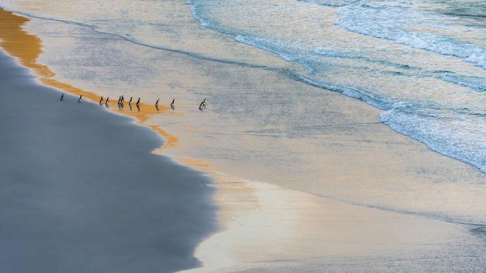 'Salida de pesca' | Accésit Olympus Iberia.