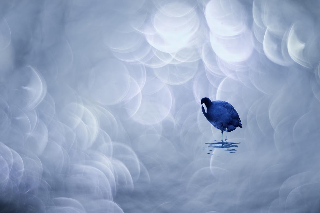 'Pensativa' | Técnicas fotográficas.