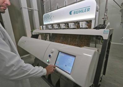 Imagen secundaria 1 - Sémola de maíz extremeña para cerveza y &#039;snacks&#039; de todo el mundo