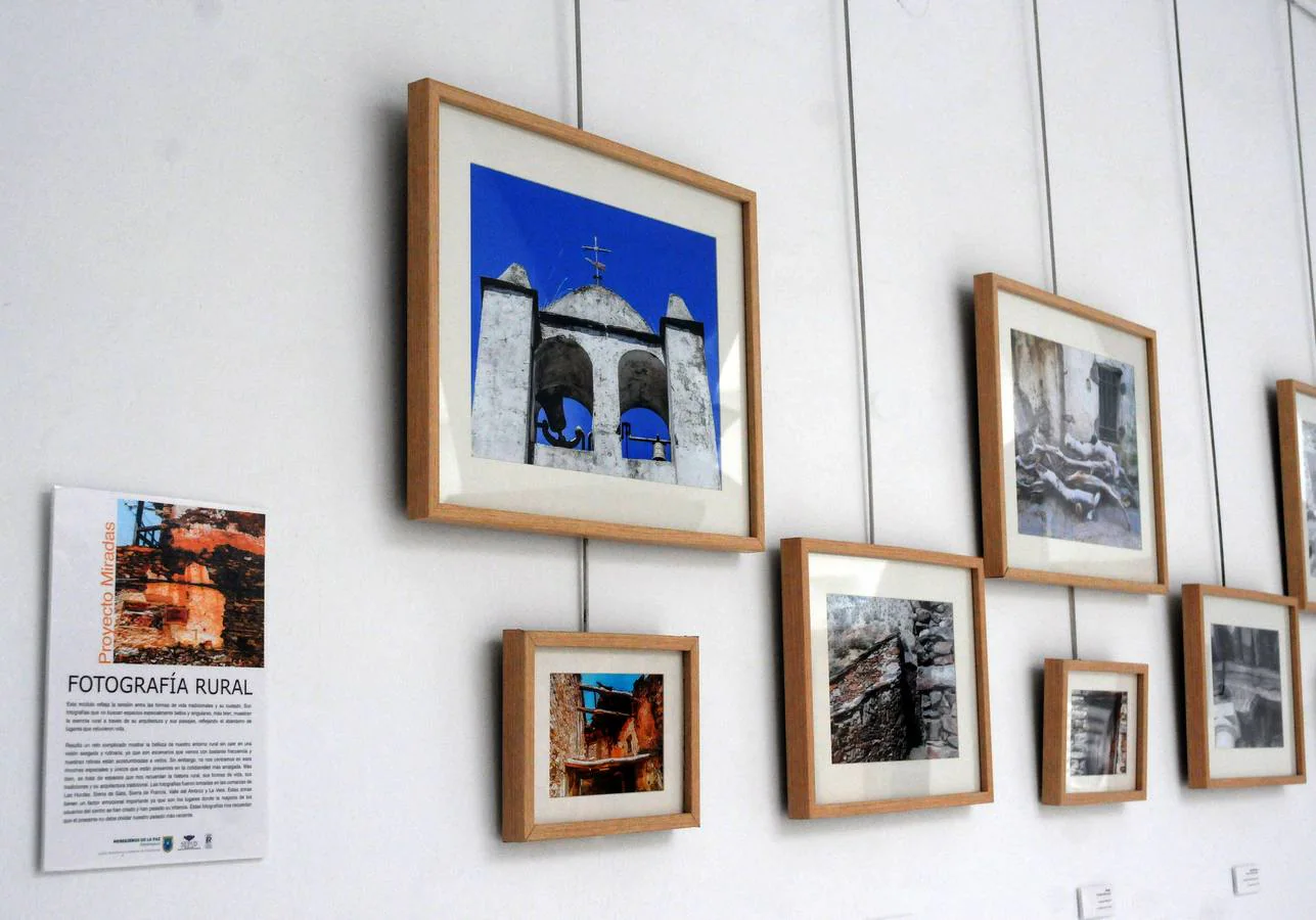 La Asamblea de Extremadura acoge, hasta el 28 de febrero, la exposición 'Proyecto Miradas', que está compuesta por unas 50 fotografías realizadas por personas con discapacidad del Centro Residencial y Familiar de Nuñomoral (Cáceres)