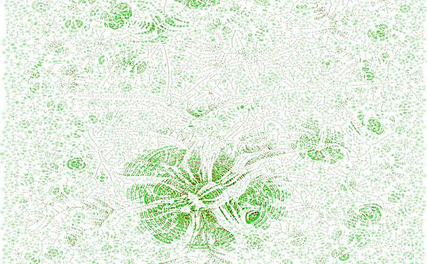 Detalle del árbol genealógico. 