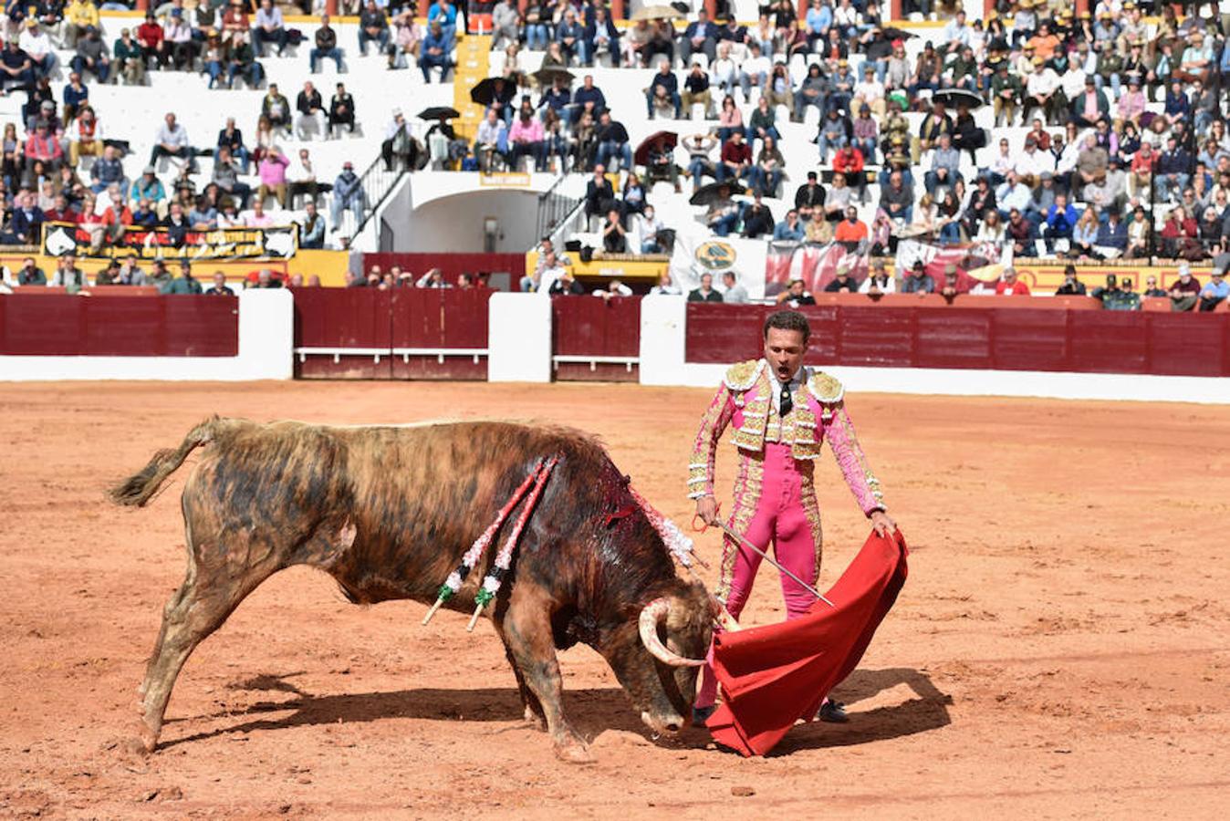 Espectáculo matinal del domingo.
