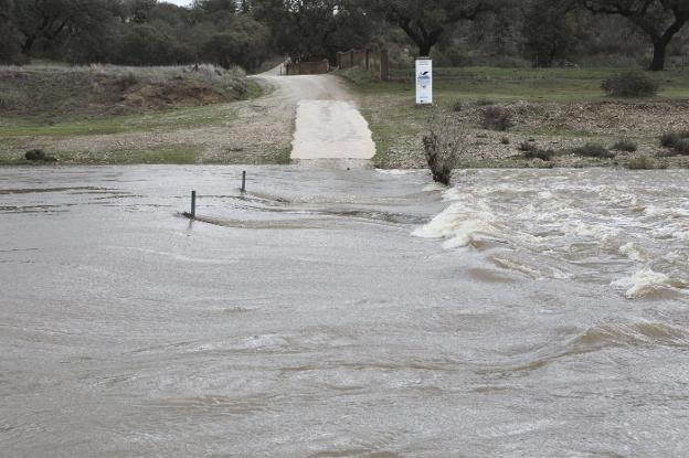 Imagen del río Salor ayer sobre las 13.30 horas, interrumpiendo el camino. :: armando méndez