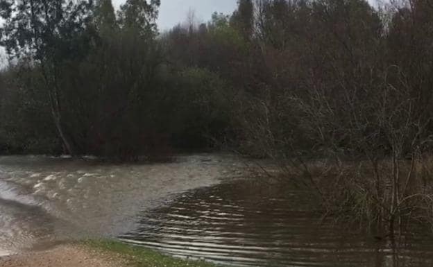 La crecida del Guadiana corta el paso a los ciclistas en la Charca de los Pollos