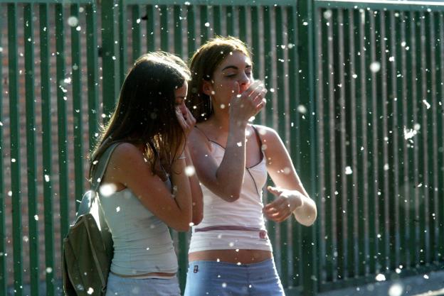 Dos jóvenes se protegen del polen que inunda el aire. :: hoy