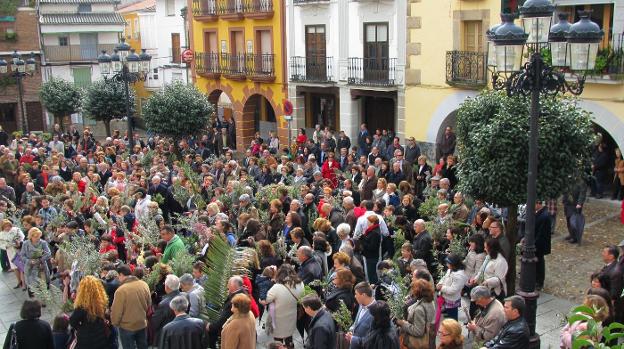 Bendición de ramos en la plaza Mayor. :: p. d. cruz