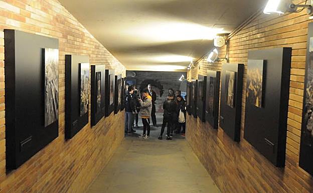Visitantes en una de las exposiciones temporales del Museo Romano:: HOY
