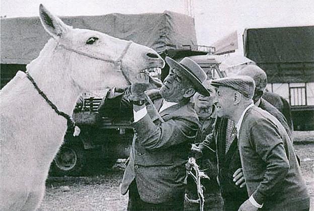 Tratantes viendo la edad de una mula por la dentadura. :: m. e. p. l.