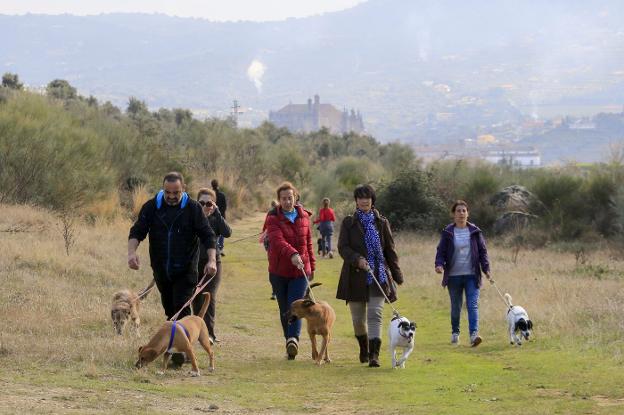 Voluntarios pasean a perros acogidos en la perrera municipal. :: a. s.
