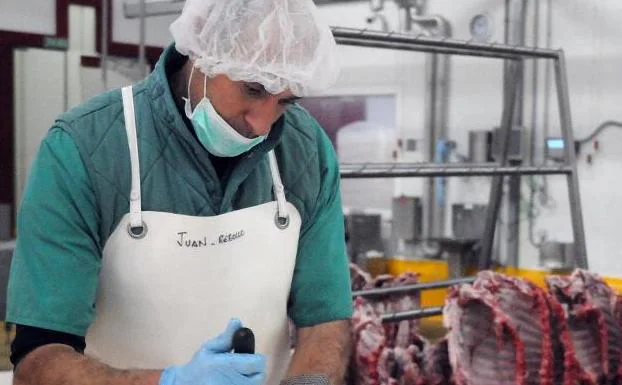Despiece de carnes de ibéricos en las instalaciones de Señorío de Montanera, en Salvaleón. :: 