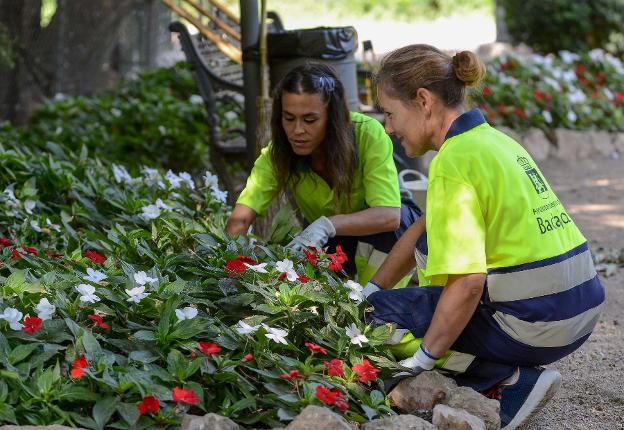 Dos trabajadoras municipales de jardinería. :: Hoy