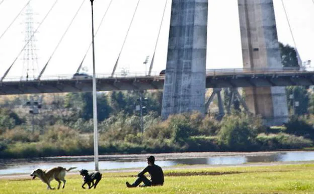 La Policía Local de Badajoz intensificará la vigilancia sobre los perros que vayan sueltos