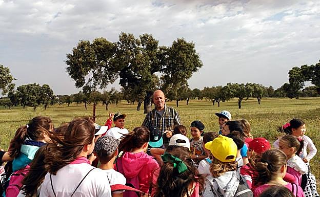 Imagen de archivo de la visita de unos escolares a La Cocosa. 