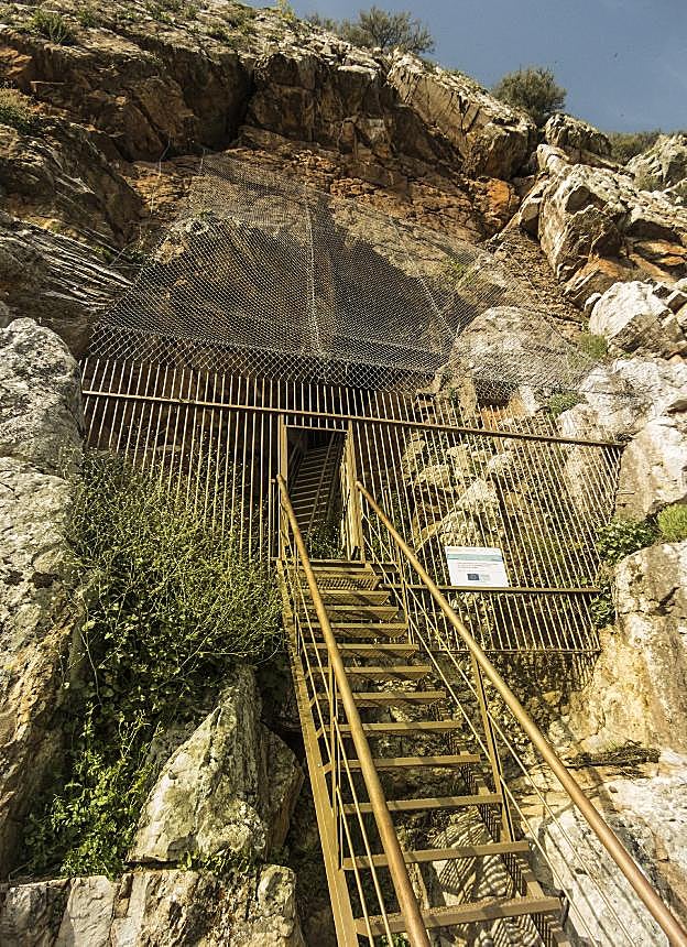 Entrada al abrigo. :: hoy