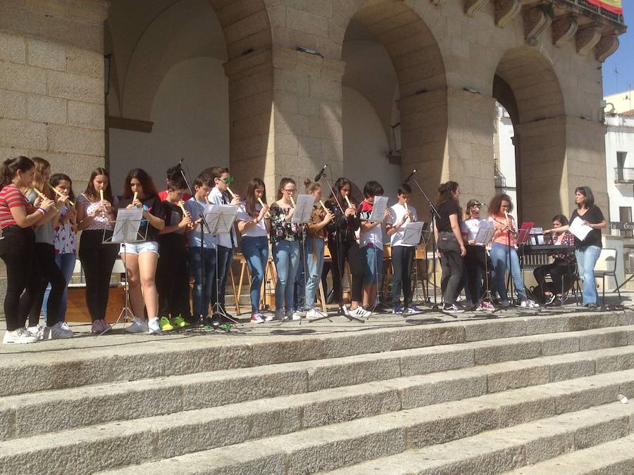 Celebración de la Fiesta de la Educación Musical:: APAMEX