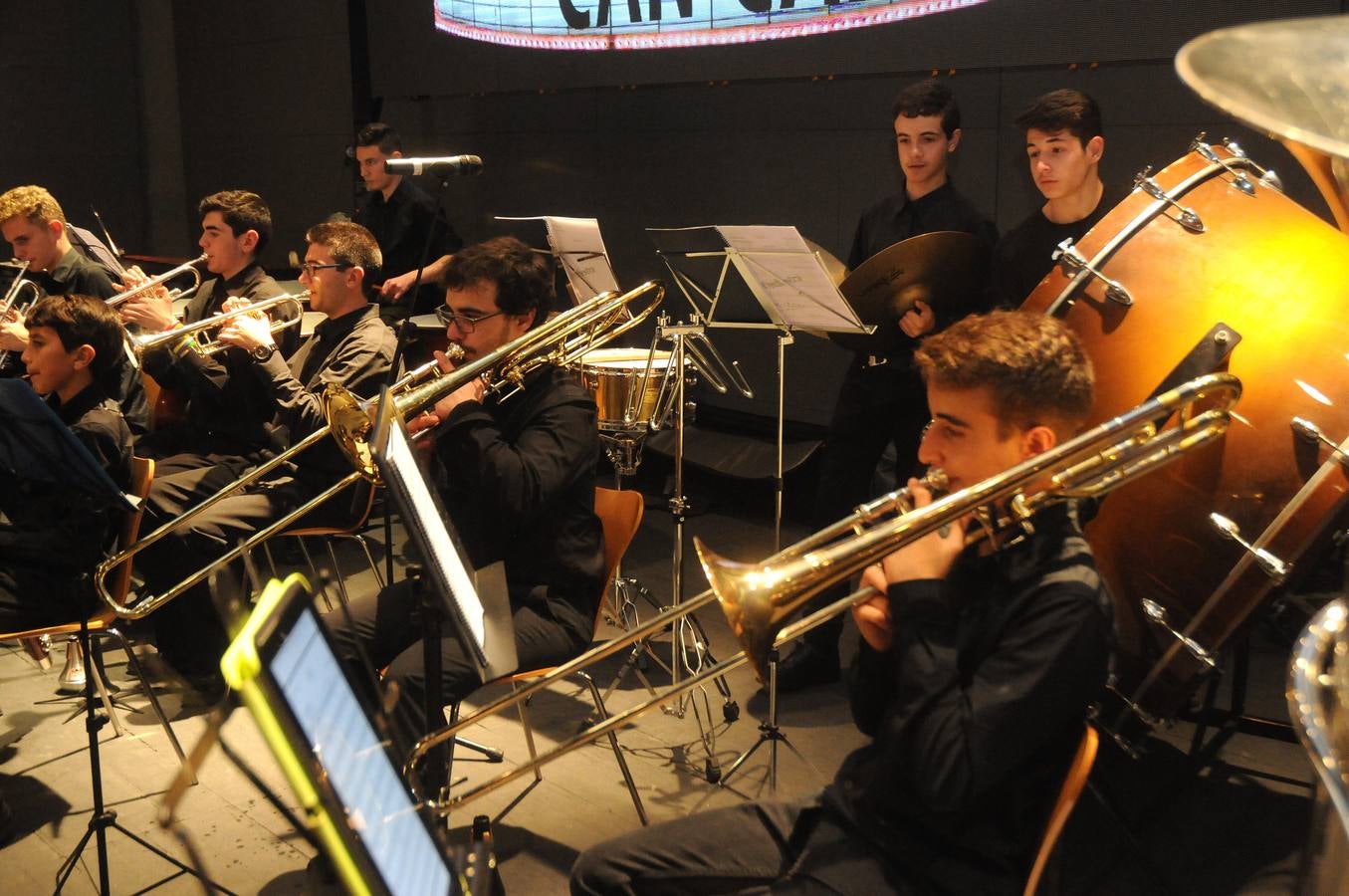 El programa vincula la sala de conciertos y la orquesta sinfónica con el aula de música de primaria, con el fin de explorar el repertorio orquestal, los fundamentos técnicos de la música así como el trabajo creativo y la composición, abordando el plan de estudios musical de manera práctica. Los estudiantes que participan en el programa Link Up (de 8 a 11 años de edad) asisten al final a un concierto participativo donde cantan, bailan y tocan la flauta dulce e instrumentos sinfónicos con la orquesta desde sus propios asientos.
