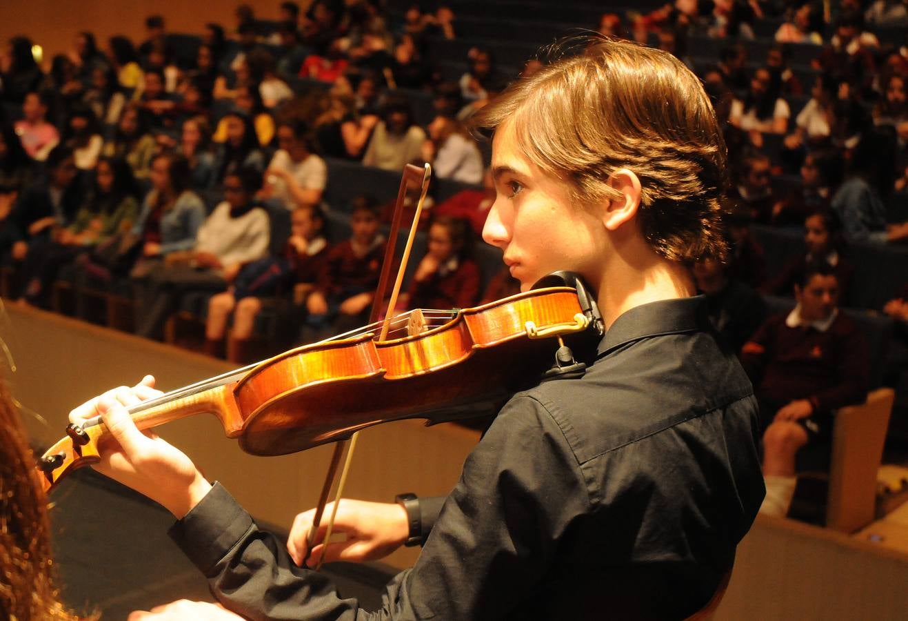El programa vincula la sala de conciertos y la orquesta sinfónica con el aula de música de primaria, con el fin de explorar el repertorio orquestal, los fundamentos técnicos de la música así como el trabajo creativo y la composición, abordando el plan de estudios musical de manera práctica. Los estudiantes que participan en el programa Link Up (de 8 a 11 años de edad) asisten al final a un concierto participativo donde cantan, bailan y tocan la flauta dulce e instrumentos sinfónicos con la orquesta desde sus propios asientos.