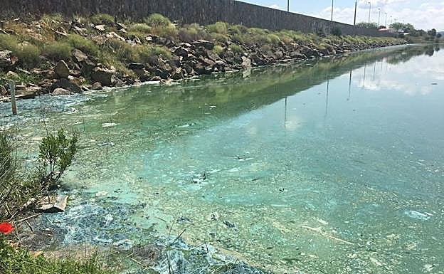 El agua del embalse de Los Molinos presenta una gran mancha verde y un olor nausebundo